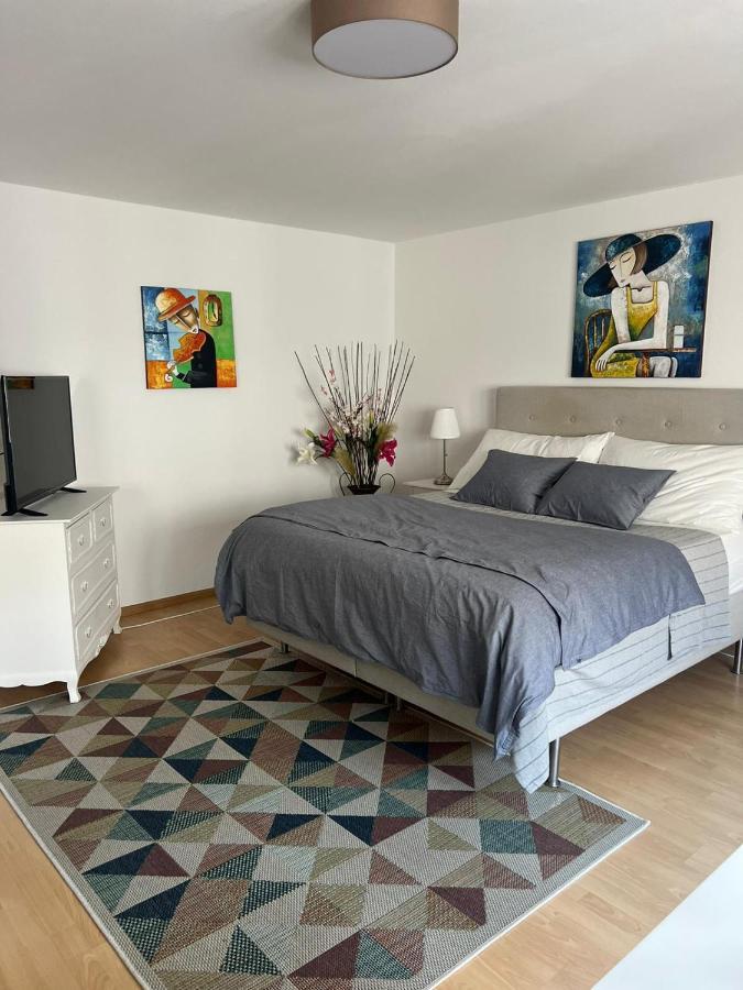 Apartamento Schweiz Basilea Exterior foto